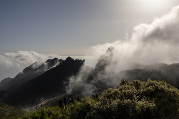 Nebelstimmung auf Teneriffa 