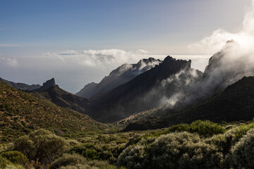 Nebelstimmung auf Teneriffa 