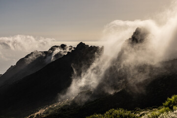 Nebelstimmung auf Teneriffa 