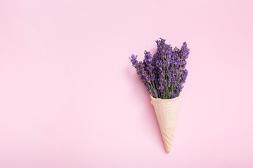 Lavender flowers bouquet in a waffle cone on a colored background. Minimal summer or spring concept