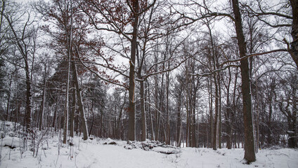 View of Drottningholm Palace gardens in winter. It is the residence of the Swedish royal family and is located near the capital Stockholm, Sweden. The park is covered in snow.