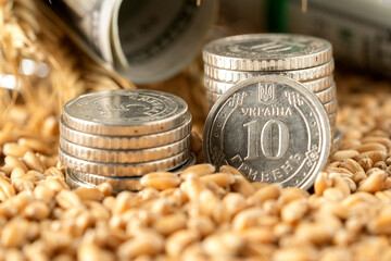 Growth of money in the soil with the concept of financing success in business and agriculture. The concept of growing agricultural plants in the garden