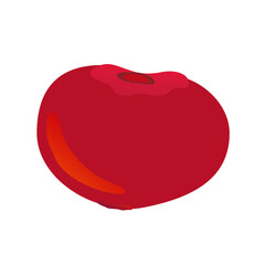 illustrazione con frutto bacca rossa su sfondo trasparente