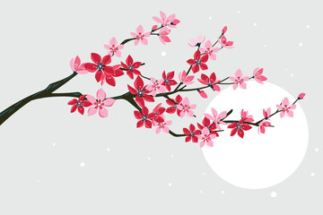 Set of Cherry Blosssom or Sakura Handdrawing Backgrounds