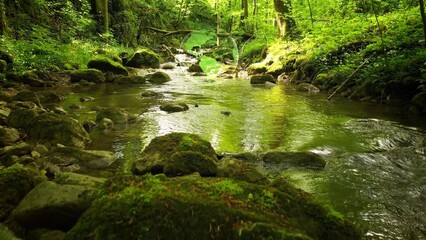 Concept ecology background with forest river and earth planet animation.
