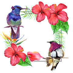 
Watercolor greeting frame with hummingbirds, tropical flowers and leaves.