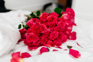 A beautiful bouquet of pink roses lies on a white bed. Background for Valentine's Day