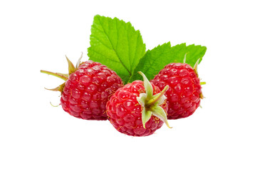 Group of fresh raspberries with leaves isolated on a transparent background in close-up