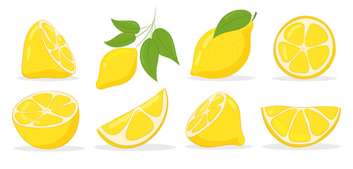 Set of yellow whole lemon and fruit sliced. Lemon slices. Cut lemon fruit slice and zest for lemonade juice or vitamin C logo. Hand drawn Icon set Isolated vector illustration. 