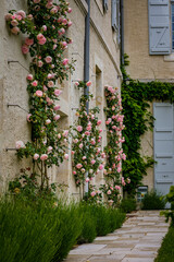 Cute, flowery and narrow streets of the small village of Lectoure in the south of France (Gers)