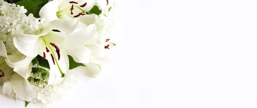 banner with white lilies and hydrangea. High quality photo