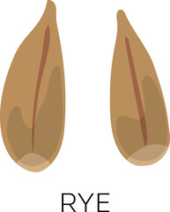 Rye grain icon. Raw fram agriculture seeds