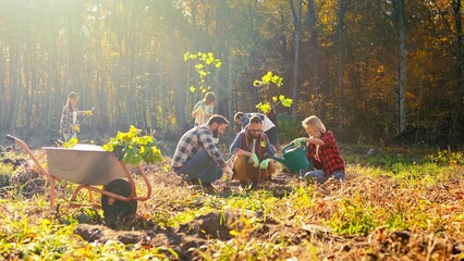 Caucasian woman and men planting tree from seedling and fighting with deforestation. Eco volunteers...