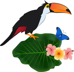 Fototapeta na wymiar Toucan sit on tropical plant. Exotic bird in nature