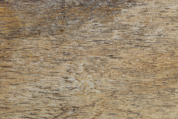 close-up photo of wood grain background