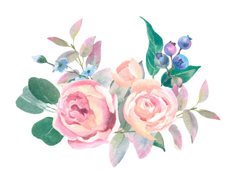 Blush Peach Watercolor roses, blueberry and eucalyptus branches, isolated on white background. For the design and decoration of wedding and greeting printing.