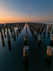 Dawn view of stump at Princes Pier, Melbourne.