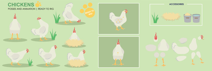 Cute Chicken whitecharacter hen ready to animate, multiple angles and poses, orange farm animals chicken for animation, vector collection © Louise