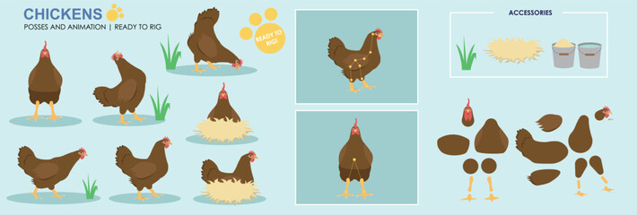 Fototapeta premium Cute Chicken brown character hen ready to animate, multiple angles and poses, orange farm animals chicken for animation, vector collection