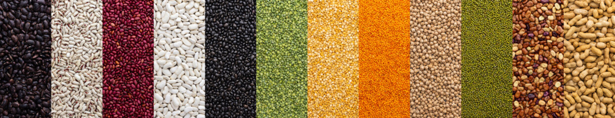 Banner of different types of legumes , chickpeas and peas, colorful beans and lentils, mung beans and peanuts, top view