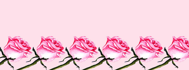 Sfondo con rose  in fila, cornice floreale su sfondo rosa © sommaria