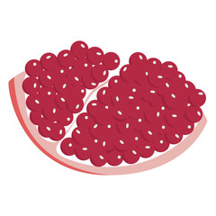 Isolated cut pomegranate fruit with seeds Vector