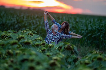 Happy farmers in sunflower field at sunset