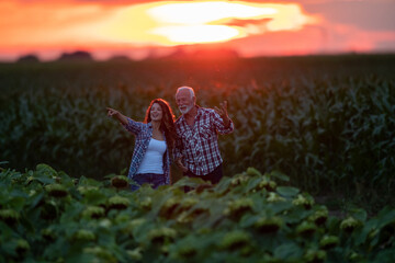 Happy farmers in sunflower field at sunset