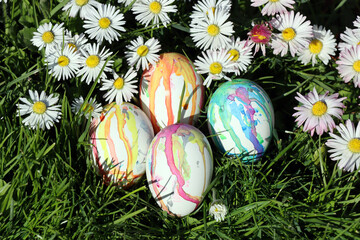 handbemalte Ostereier zwischen Gänseblümchen