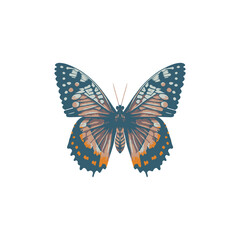 Single vector of elegant exotic butterfly isolated on white background. Cute tropical flying insect with colorful wings. Flat vector illustration.