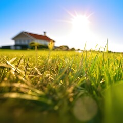 Grass and sky on sunny day - generative ai