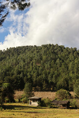 Two houses located at the foot of the mountain in the middle of the forest