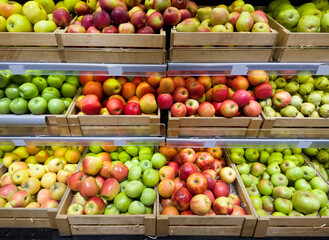 buying fruits(apples and pears)  at the market