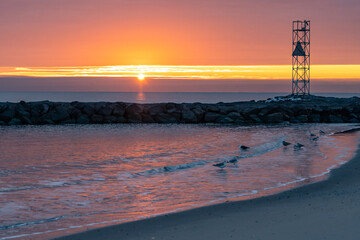 Avon by the Sea, New Jersey, United States:  A flock of seagulls by the waters edge at sunrise.