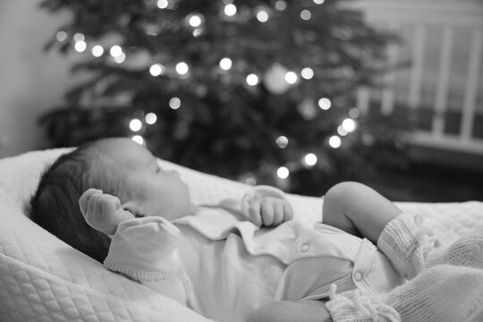 Newborn baby is looking at Christmas tree. The tree is decorated with lights. The cute baby boy is laying in special baby mattress cocoon. The picture is black and white. High quality photo