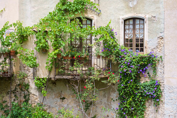 Wall of house covered in climbing vines and flowers
