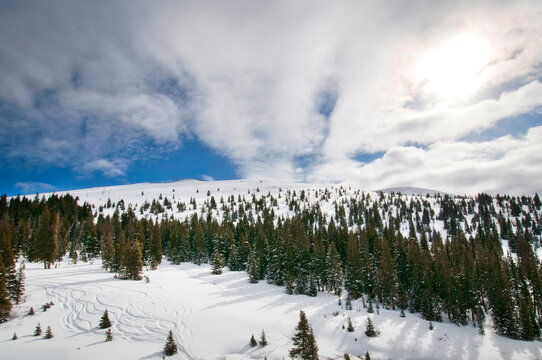Winter Landscape With Backcountry Ski Trails, Vail, Colorado