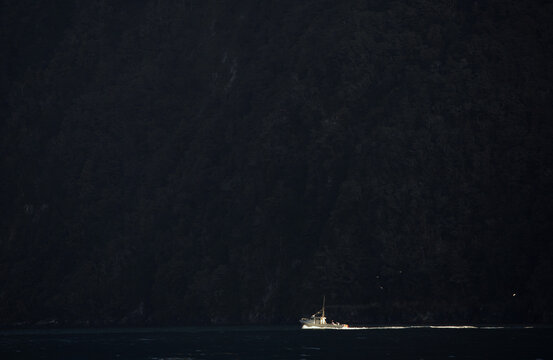 A fishing boat returning to Milford Sound, New Zealand