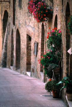 Streets of Ancient Town