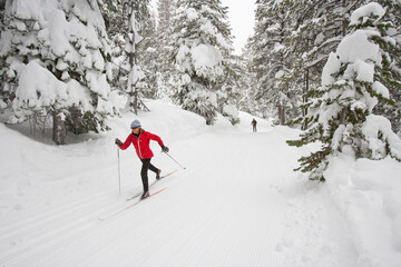Cross Country skiing in California.