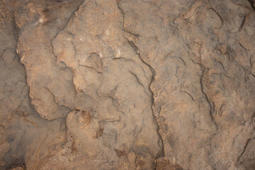natural textural of beige stones