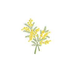 シンプルなミモザのブーケ	