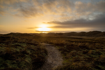Sonnenuntergang Dünenlandschaft Dänemark