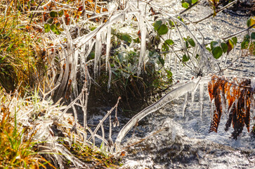 Arroyo con hierbas congeladas