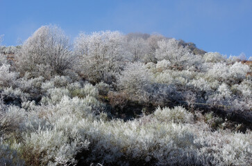 Monte helado con cielo azul