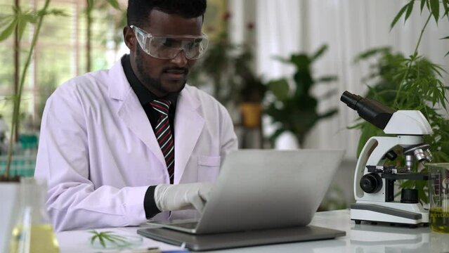 Young Scientist man Analyzing a fresh marijuana leaf in modern laboratory