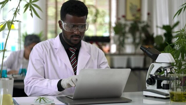 Young Scientist man Analyzing a fresh marijuana leaf in modern laboratory