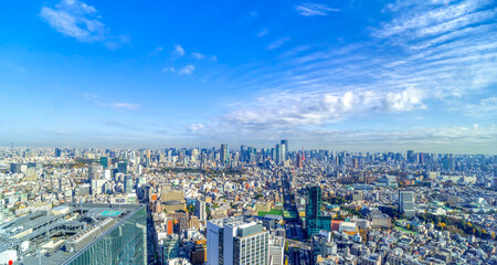 Fototapeta premium 東京風景 Dec.2022