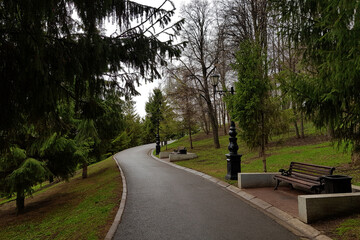person walking in the park