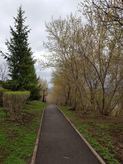 path in the park
